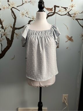 Light Blue Swiss Dot Ruffle Sleeve Women’s Top